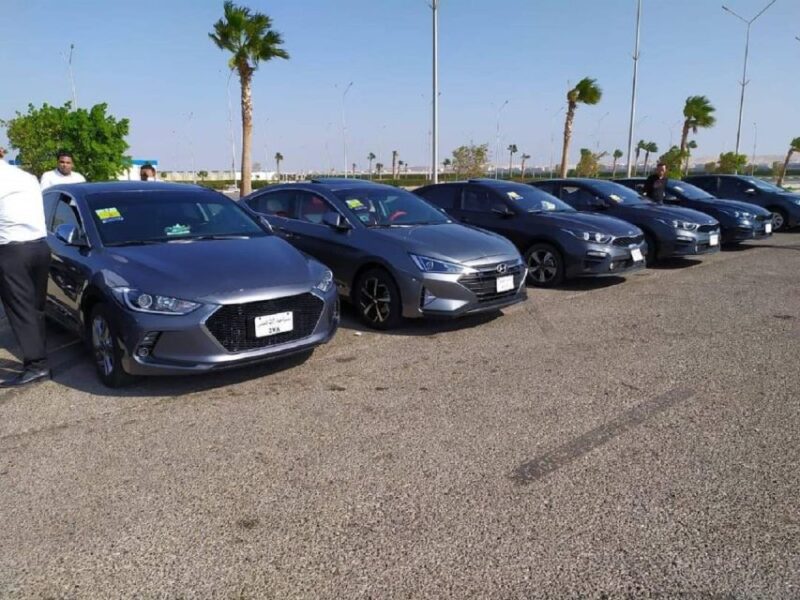 Luxor and Aswan One-Way or Return Private Transfer - Transfer Details