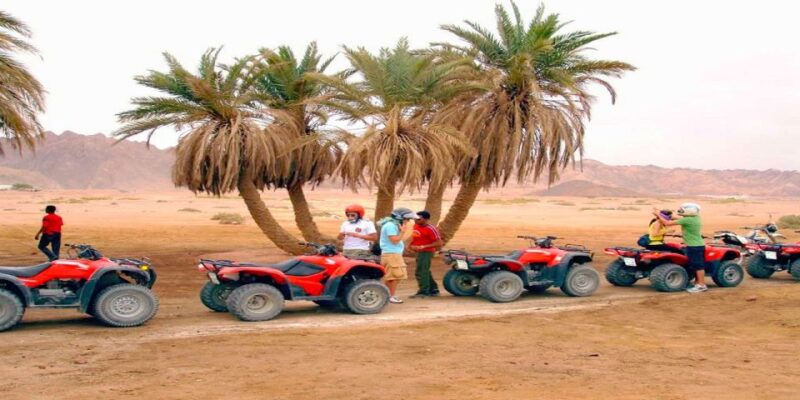 Luxor: Balloon, Quad Bike, Horse Ride, Felucca With Meals - Inclusions