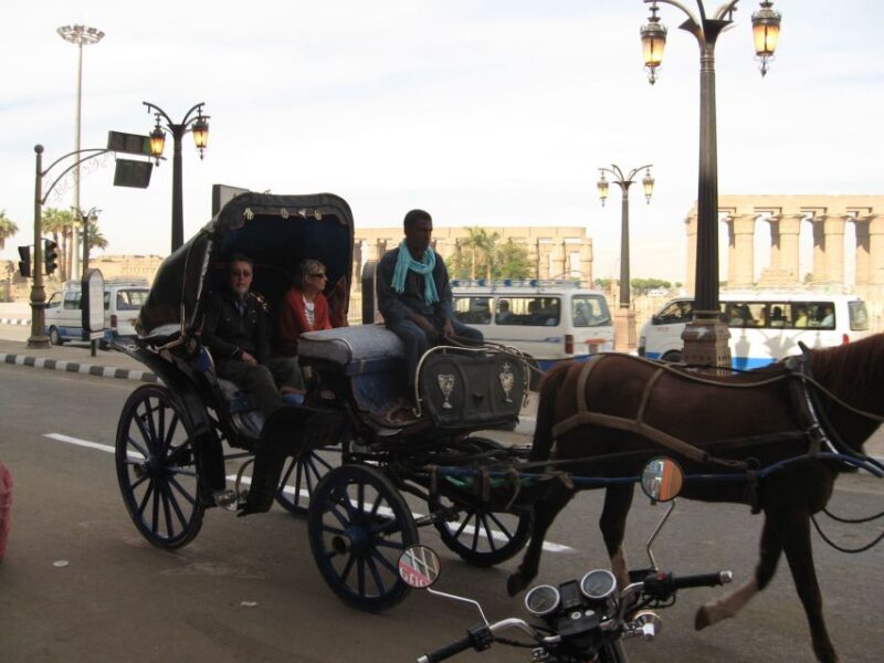Luxor: City Tour by Horse Carriage From the East Bank - Customer Feedback