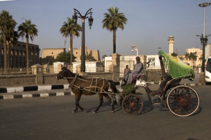 Luxor: City Tour by Horse Carriage From the East Bank - Recap