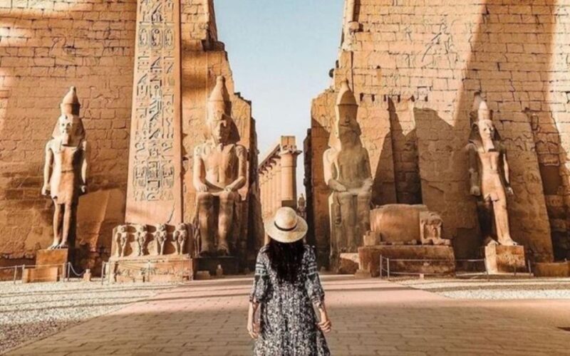Luxor: East & West Bank Temples Private Tour With Tickets - Accessibility and Language Options