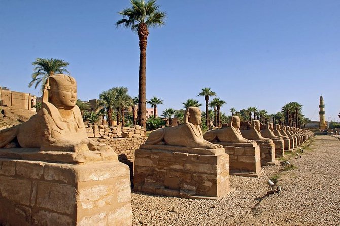 Luxor Full Day Tour East and West (Private Tour) - Pickup and Schedule