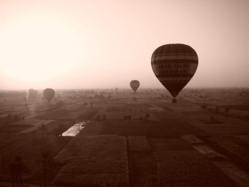 Luxor Highlights Karnak Luxor, Kings V, Hatshepsuite Guided - Transportation and Amenities