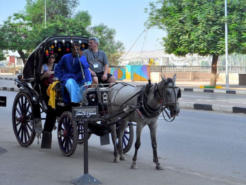 Luxor : Luxor City Tour By Horse Carriage Private Tour - Key Points