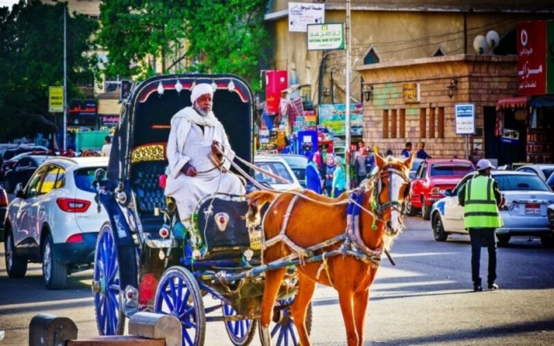 Luxor : Luxor City Tour By Horse Carriage Private Tour - Experience Highlights