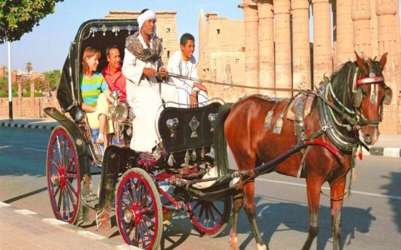 Luxor : Luxor City Tour By Horse Carriage Private Tour - Inclusions