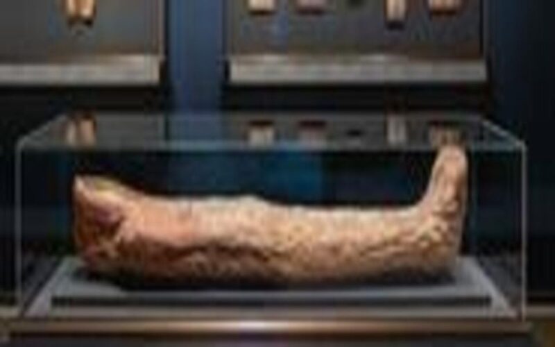 Luxor: Luxor Museum And Mummification Museum Private Tour - Mummification Museum Displays
