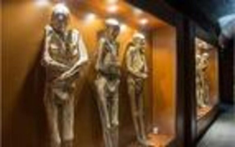 Luxor: Luxor Museum And Mummification Museum Private Tour - Availability and Languages