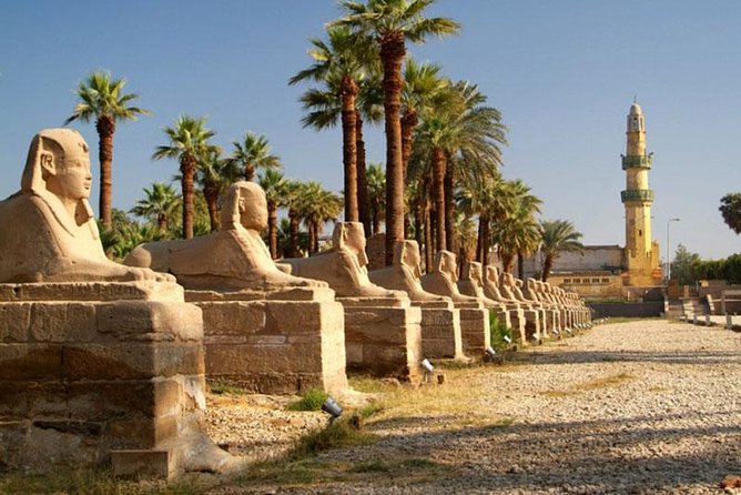 Luxor Private Day Tour From Makadi With Private Tour Guide - Pickup Information