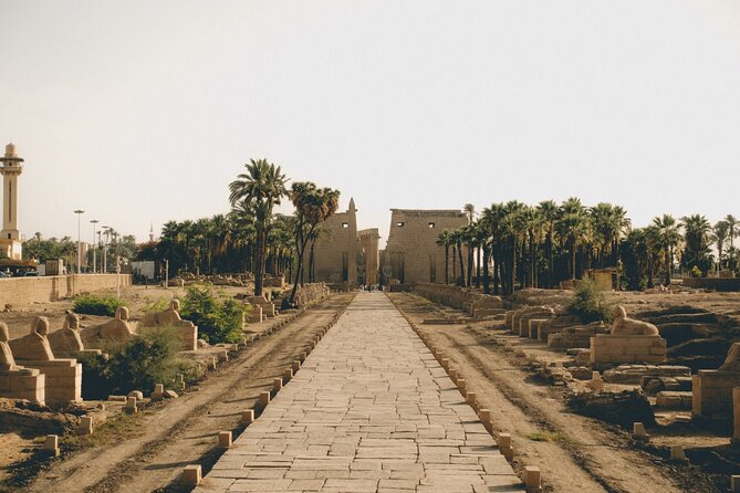 Luxor Private Day Tour From Makadi With Private Tour Guide - Marveling at the Colossi of Memnon