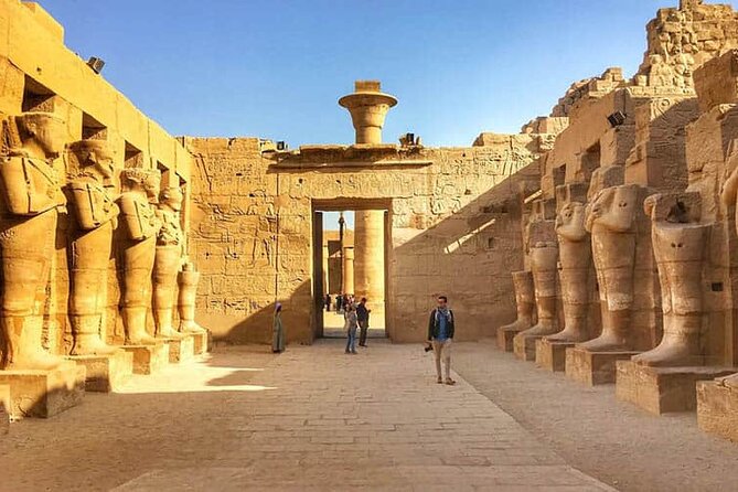 Luxor Private Day Trip From Cairo by Plane - Inclusions and Highlights of the Tour