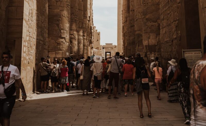 Luxor: Private Highlights Full-Day Tour With Entry Tickets - Customer Experience and Reviews