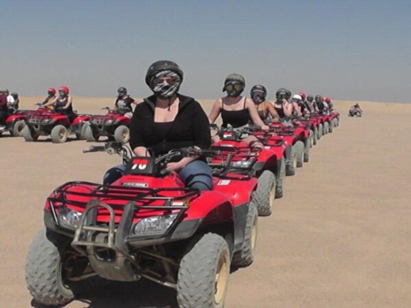 Luxor: Quad Bike Safari Experience - Customer Feedback