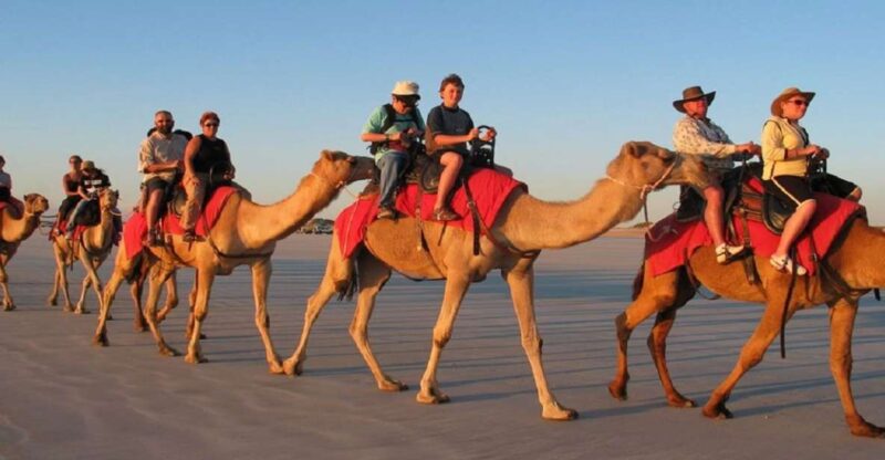 Luxor: Scenic Camel or Horse Ride - Key Points