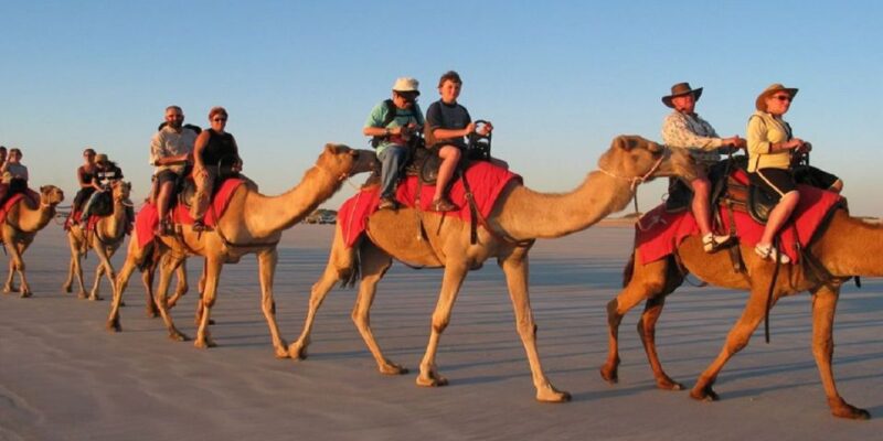 Luxor: Scenic Camel or Horse Ride - Booking Information