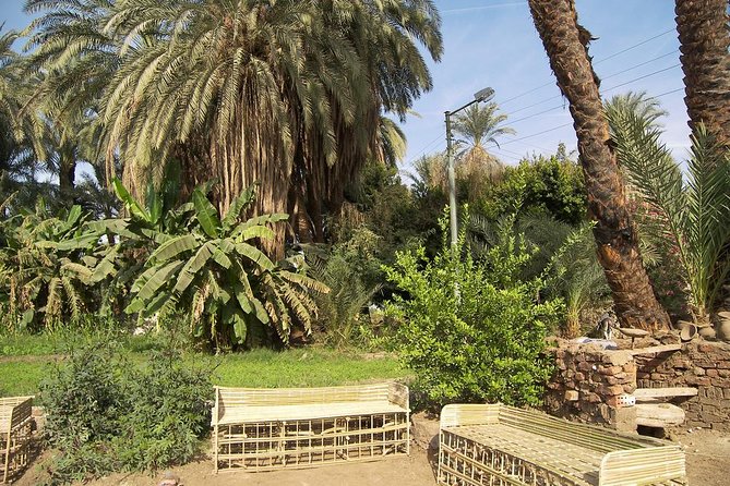 Luxor Sunset Felucca Ride With Lunch or Dinner on Board - Dining on Banana Island