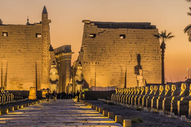 Luxor Valley of the Kings Full Day Trip Small Group HurghadaToGo - Group Size and Cancellation