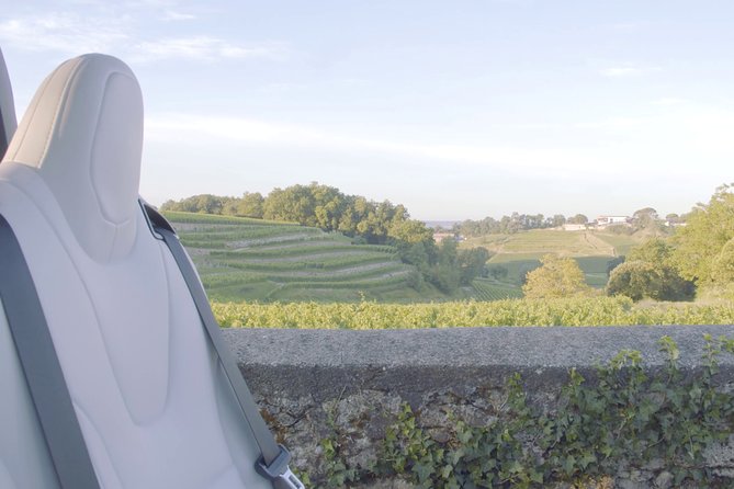 Luxurious Full Day Bordeaux Wine Tour in a Tesla - Accessibility and Safety