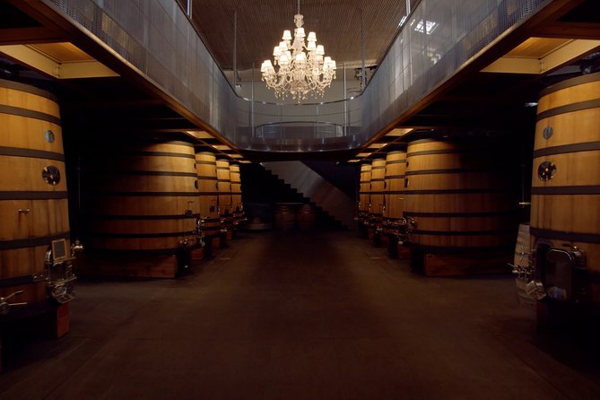 Luxurious Full Day Bordeaux Wine Tour in a Tesla - Explore Renowned Vineyards