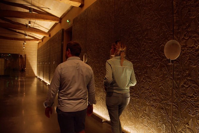 Luxurious Full Day Bordeaux Wine Tour in a Tesla - Indulge in Exquisite Wines