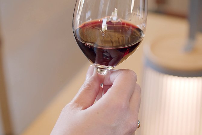 Luxurious Full Day Bordeaux Wine Tour in a Tesla - Customizable Itinerary Options