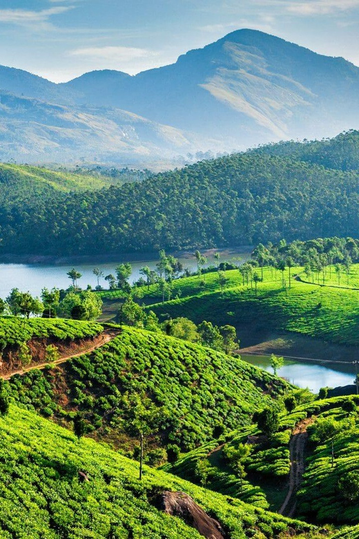 Luxurious, Overnight Alleppey Houseboat Tour (02 Days) - Experience Highlights