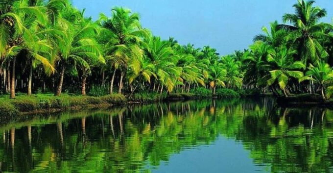 Luxurious, Overnight Alleppey Houseboat Tour (02 Days) - Essential Information