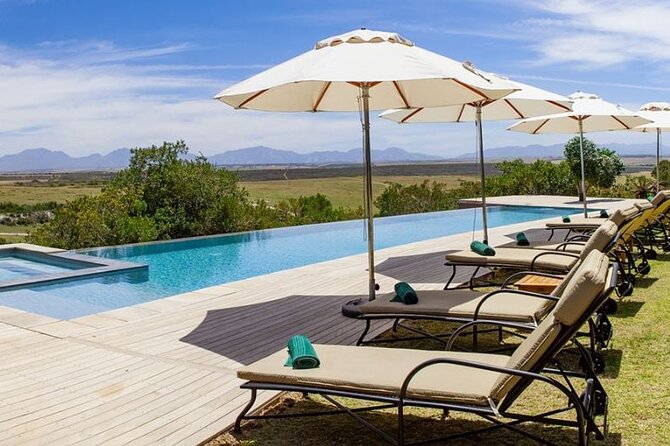 Luxury 2-Day In & Out Garden Route Safari Tour - Sunset and Sunrise Game Drives