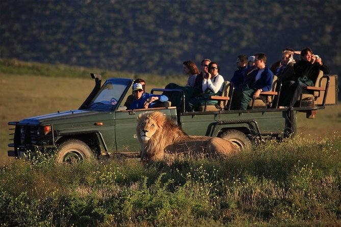 Luxury 2-Day In & Out Garden Route Safari Tour - Booking and Confirmation Process