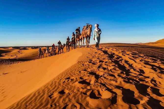 Luxury 3 Day Sahara Desert Tour From Fez to Marrakesh - Tour Highlights