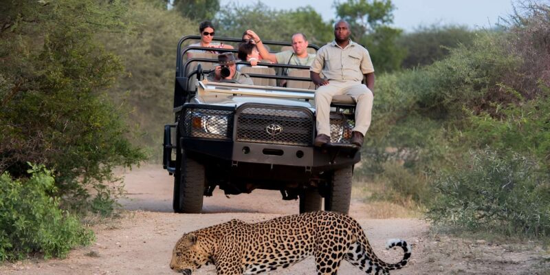 Luxury 4 Day Kruger Park All Inclusive Safari From Joburg! - Transportation and Accommodation