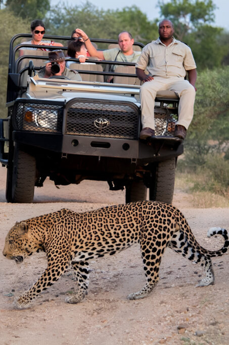 Luxury 4 Day Kruger Park All Inclusive Safari From Joburg! - Contact and Additional Information