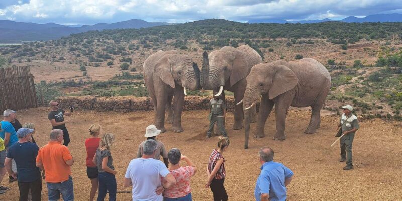 LUXURY 5-DAY GARDEN ROUTE GETAWAY - Daily Itinerary