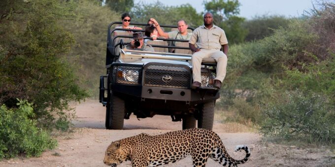 Luxury 5 Day Kruger Park All Inclusive Safari From Joburg! - Elephant Experience and Sundowners