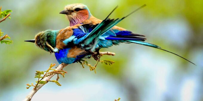 Luxury 9 Day Kruger Park Safari & Cape Town Tour - Cape Town Experiences