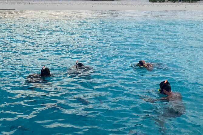 Luxury and Private Snorkel with Beach and Sunset View - Authentic Experiences and Feedback