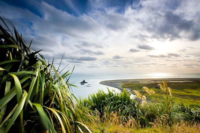Luxury Auckland & West Coast Day Tour With Maori Guide - Pickup and Cancellation