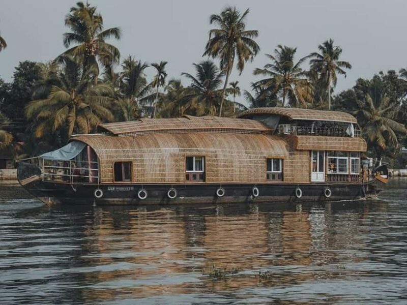 Luxury Backwater Cruise  One-Day Private Tour from Kochi - The Itinerary in Detail