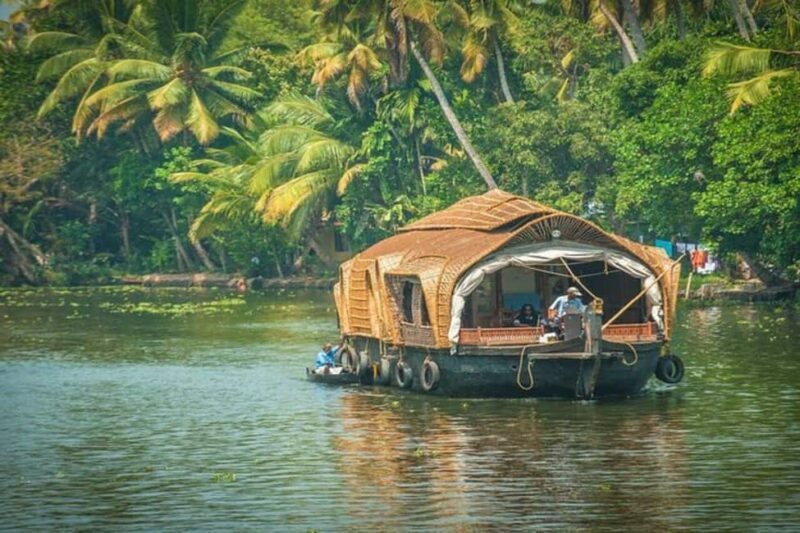 Luxury Backwater Cruise  One-Day Private Tour from Kochi - The Sum Up: Is This Tour Worth It?