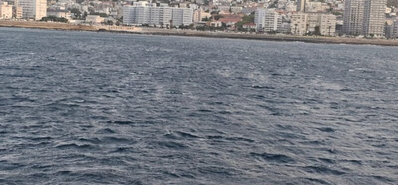 Luxury Boat Cruise From the V&A Waterfront - Key Points
