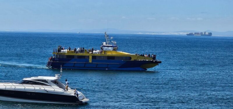 Luxury Boat Cruise From the V&A Waterfront - Boat and Amenities