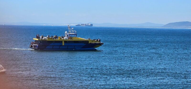 Luxury Boat Cruise From the V&A Waterfront - Sights and Wildlife