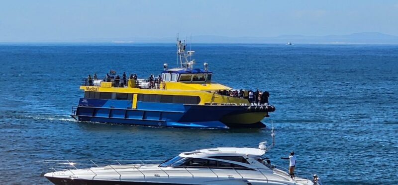 Luxury Boat Cruise From the V&A Waterfront - Meeting Point and Accessibility