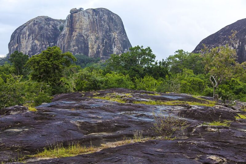 Luxury Camping and Safari Experience in Yala Park - Itinerary and Activities