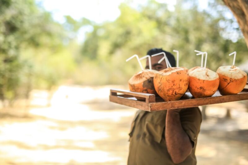 Luxury Camping and Safari Experience in Yala Park - Pricing and Discounts