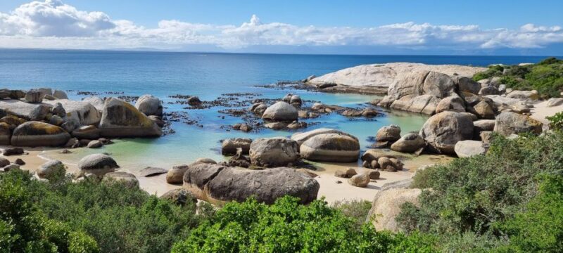 Luxury Cape of Good Hope & Penguin Tour - Itinerary Details