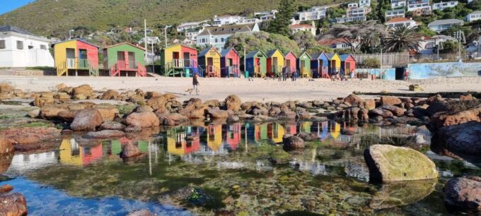 Luxury Cape of Good Hope & Penguin Tour - Small Group Experience