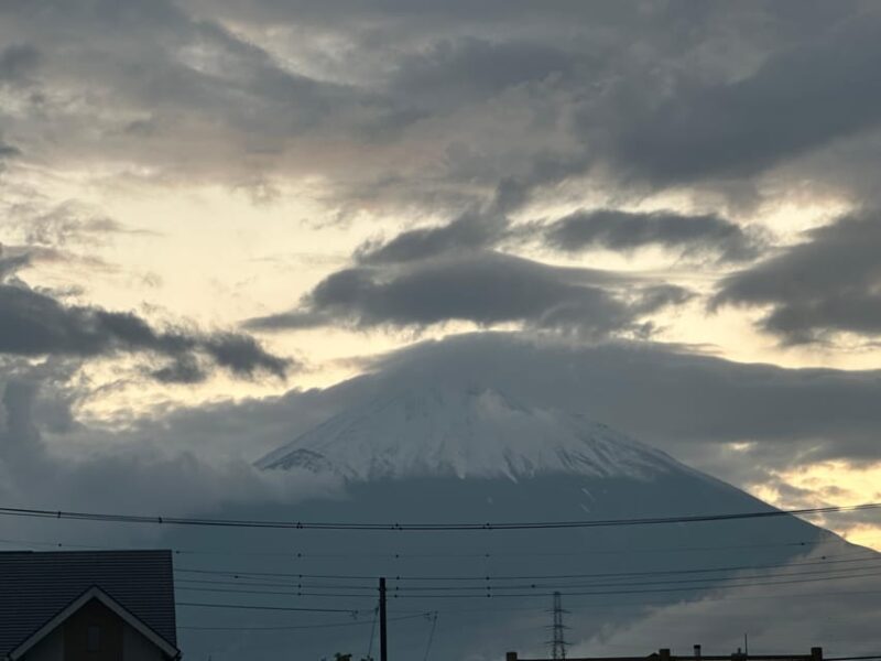 Luxury Car Professional Driver Japan Full Day Tour Week Tour - Gotemba Outlet Shopping