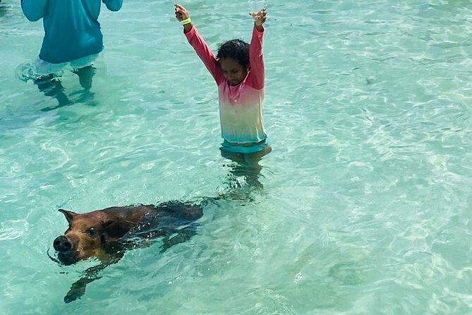 Luxury Catamaran Cruise: Sip, Sail, Snorkel, and Swim With Pigs! - Guest Reviews and Feedback
