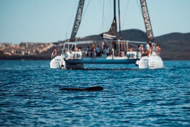 Luxury Catamaran Cruise With Brunch and Unlimited Drinks - Priority Boarding